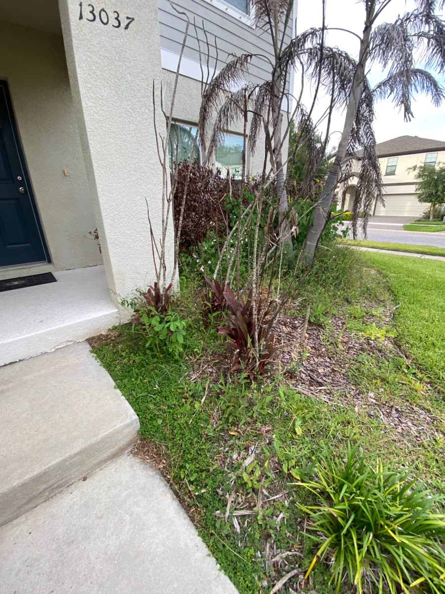 Before landscape bed restoration