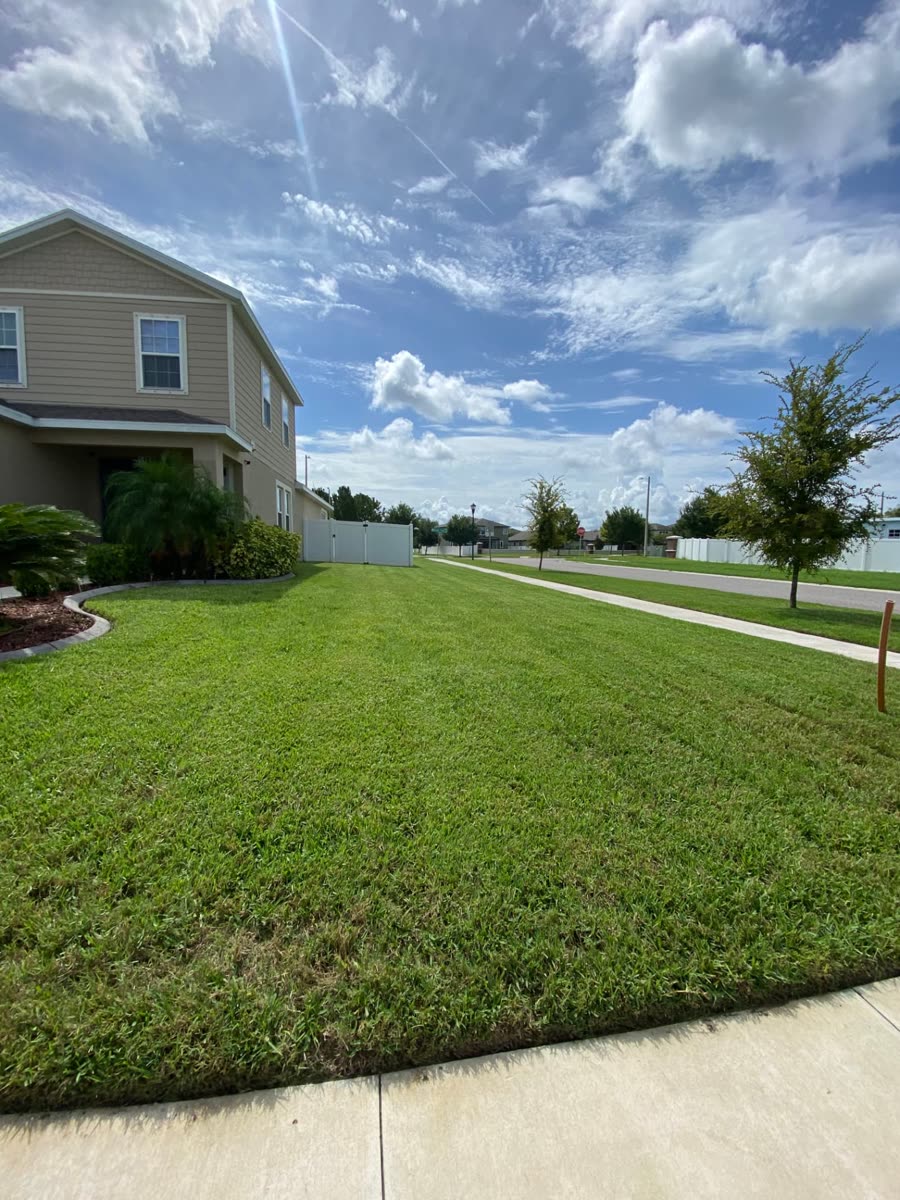 Completed Sprout Works lawn care and landscaping job