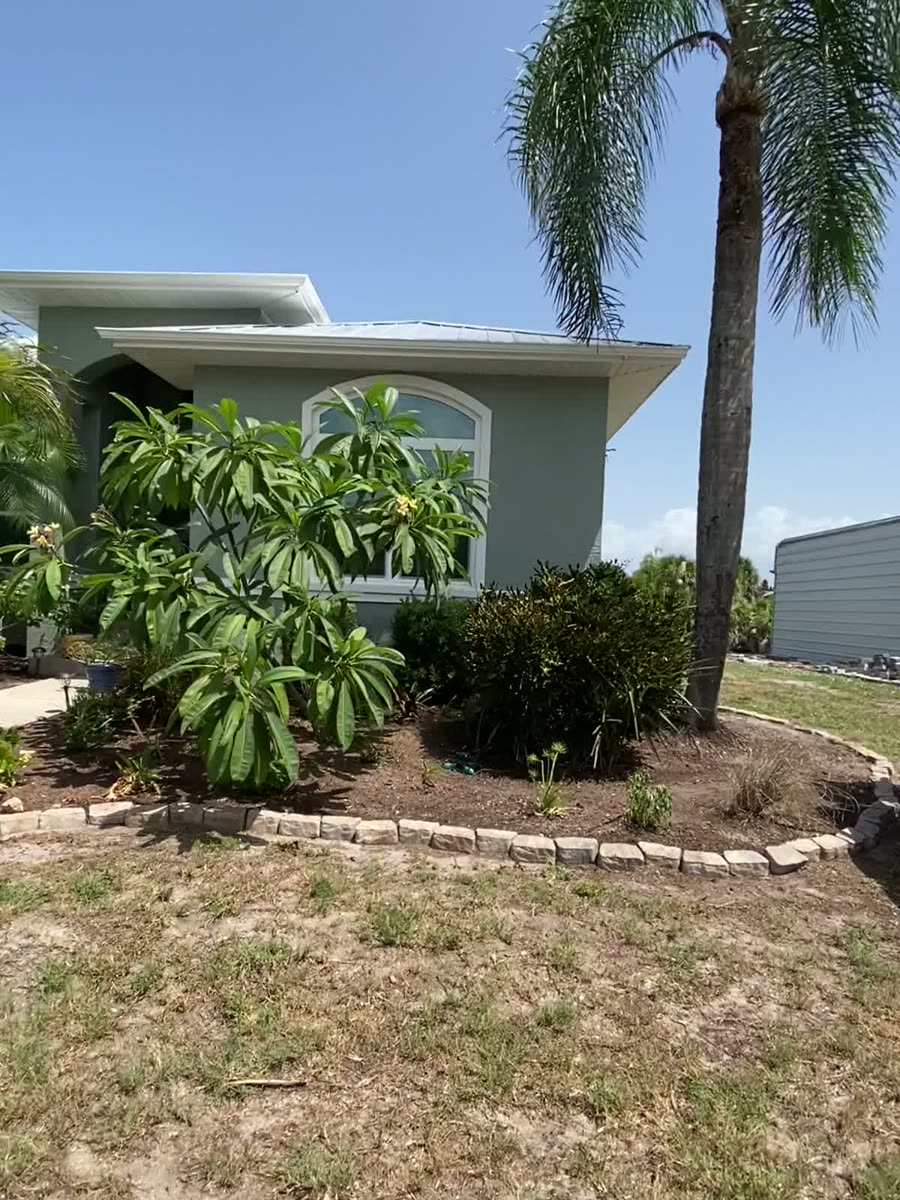 Palm & Hedge Trimming